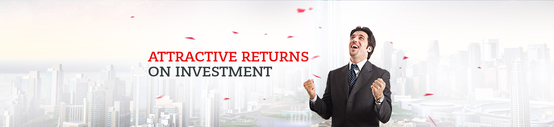 Attractive returns on investment